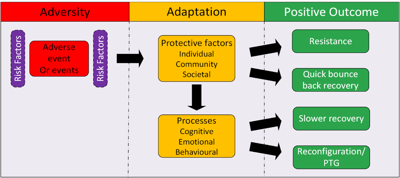 Graphic representing the journey from adversity to adaptation to a positive outcome