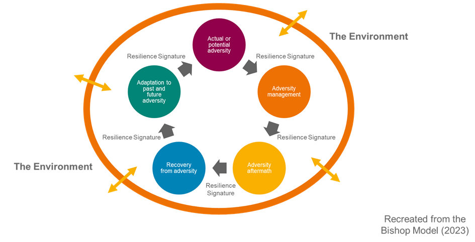 Graphic representing the resilience cycle - from adversity, to adversity management, to adversity aftermath, to recovery from adversity, to adaptation to past and future adversity, back round to adversity