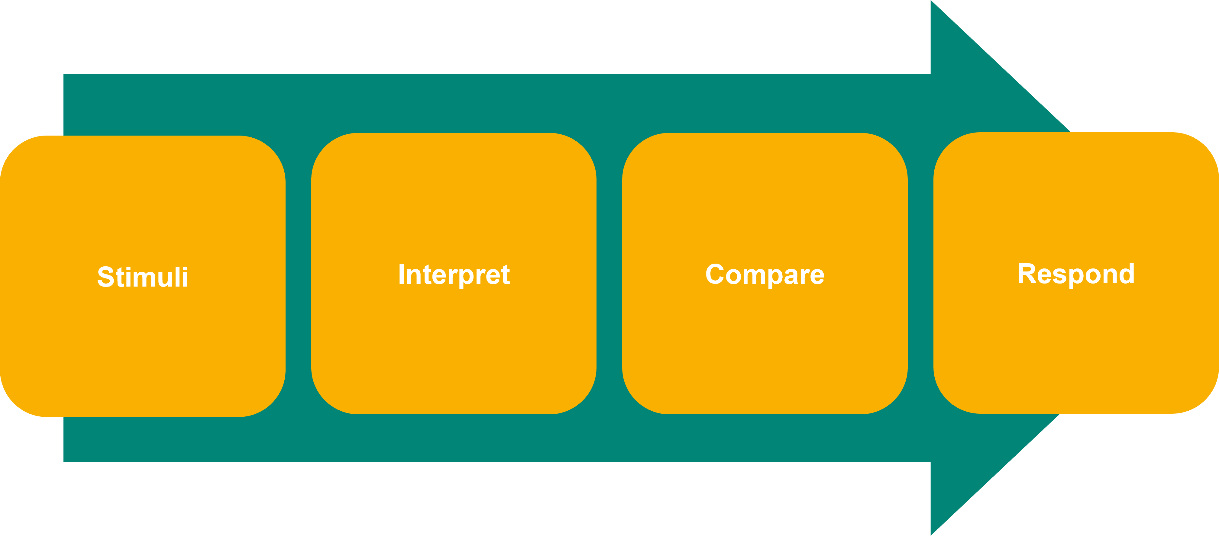 Graphic with green arrow and captions from left to right stimuli, interpret, compare, respond